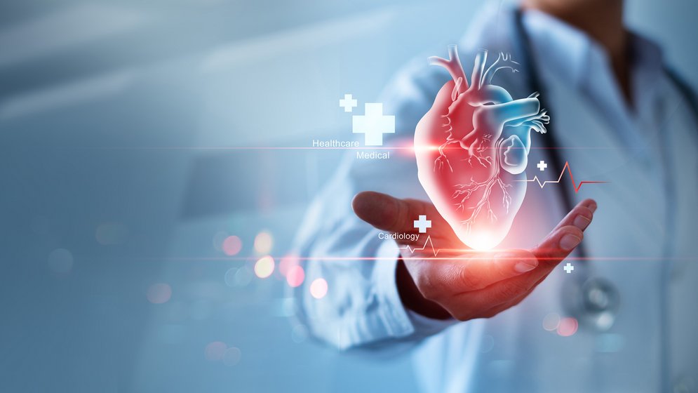 Arzt hält Herz in Hand - Imagebild Master Medical Engineering & Analytics