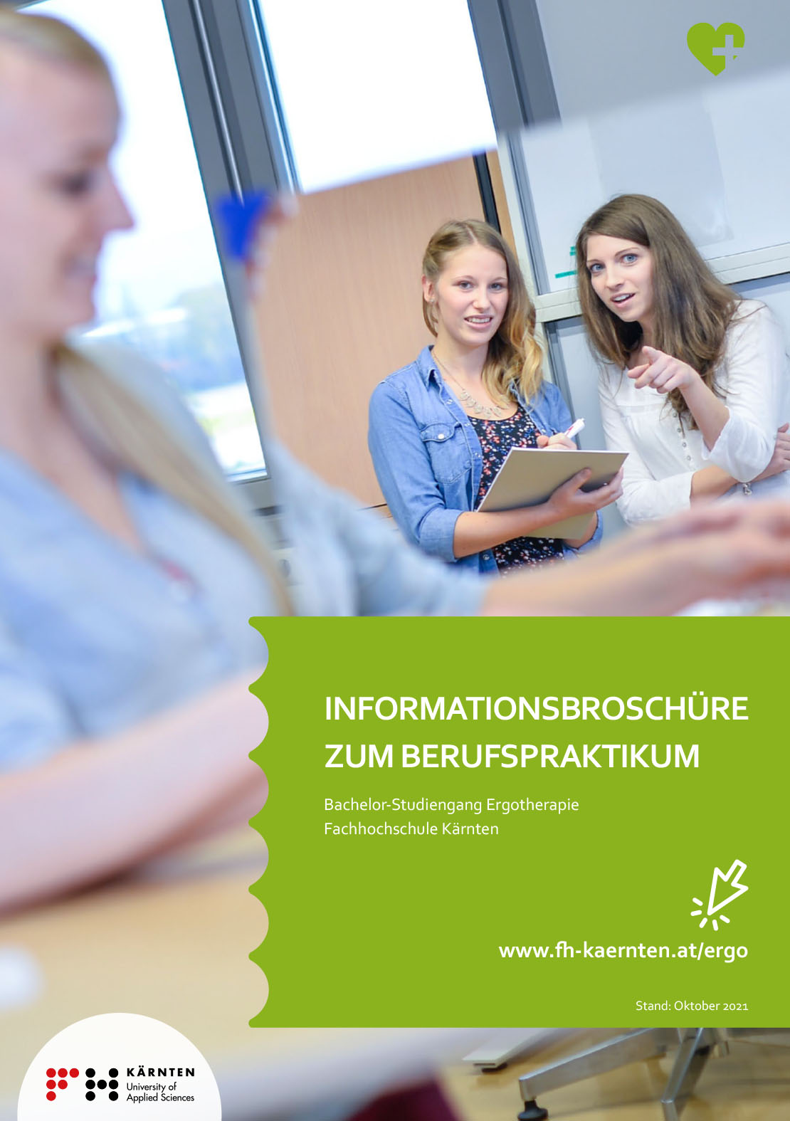 Professional Internship
