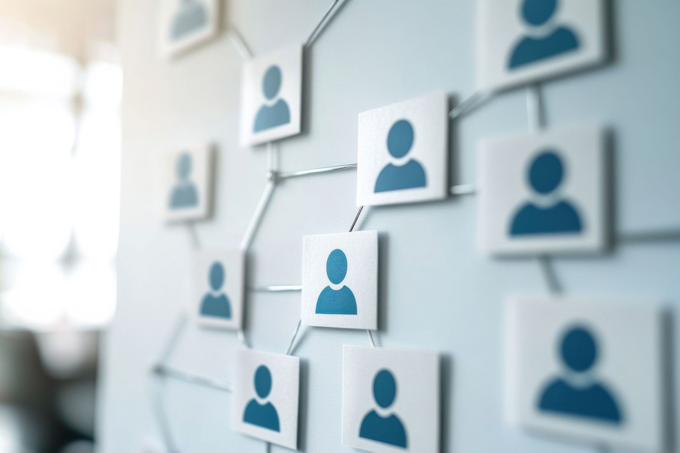 Organizational Development